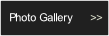 Photo Gallery.